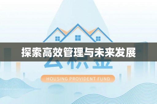 高台探索高效管理与未来发展