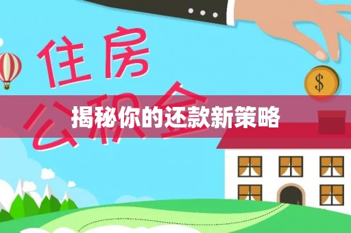 高台揭秘你的还款新策略