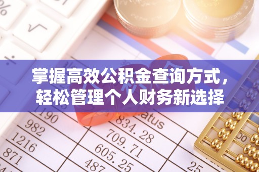 高台掌握高效公积金查询方式，轻松管理个人财务新选择