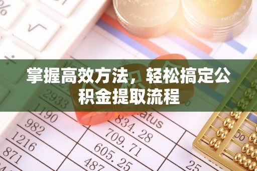 高台掌握高效方法，轻松搞定公积金提取流程